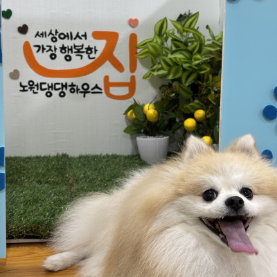 축제 구경하러 오세요♥