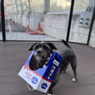 피로야 물러가랏