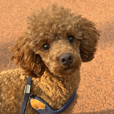 토란 입양 확정 ♥