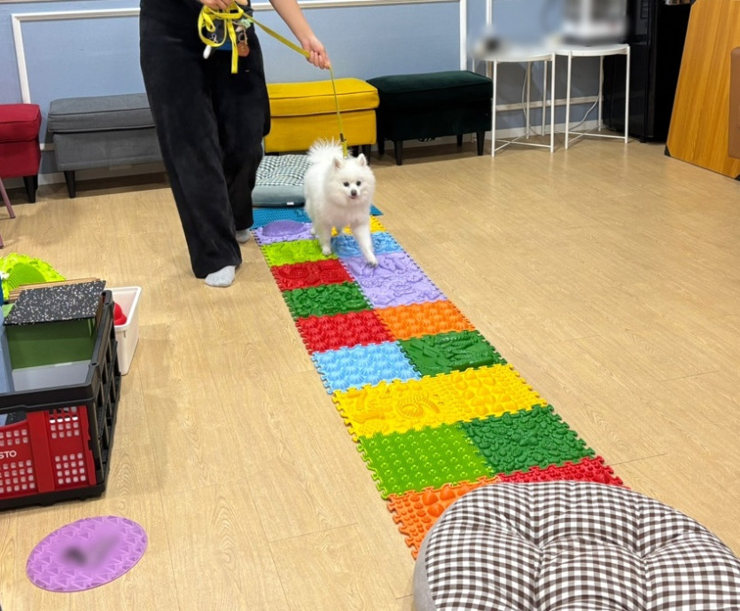b4aefb48699eabb289ed7e58221bc79f_1781748379_8815.jpg